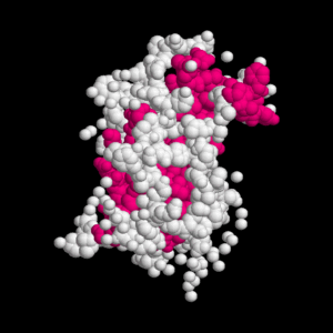 HGH & ANALOGUES