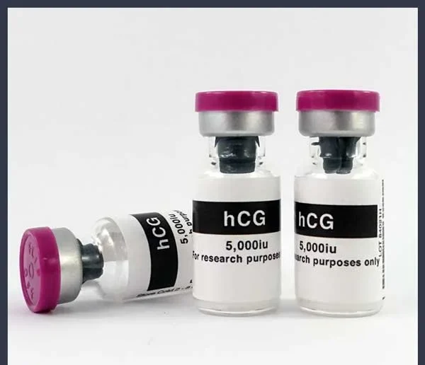 HCG 5000IU Vial (Human Chorionic Gonadotropin)